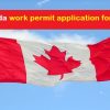 canada work permit application form